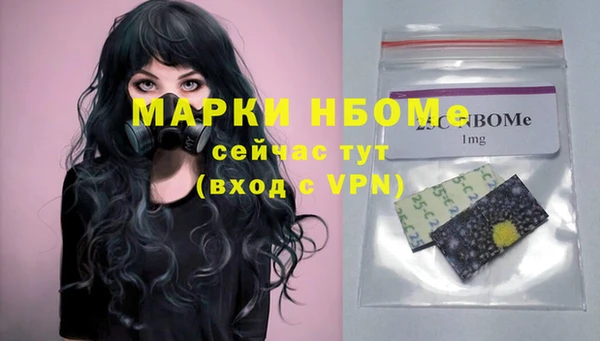амф Няндома