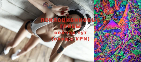 ГАЛЛЮЦИНОГЕННЫЕ ГРИБЫ Абинск