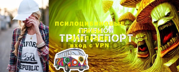 амф Няндома