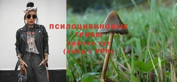ГАЛЛЮЦИНОГЕННЫЕ ГРИБЫ Абинск